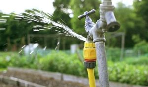 How To Fix A Leaking Hose Bib?